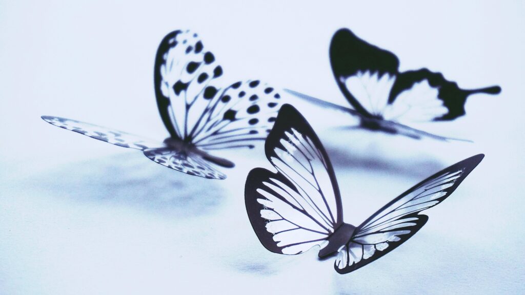 Artistic display of monochrome butterflies with delicate patterns on a light background.